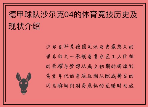 德甲球队沙尔克04的体育竞技历史及现状介绍