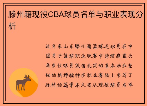 滕州籍现役CBA球员名单与职业表现分析